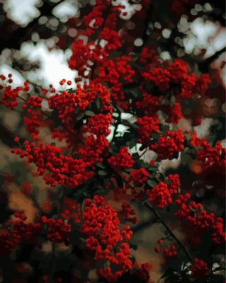 Rowan Berry Tree Paint By Numbers