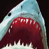 shark Jaws Illustration Paint By Numbers