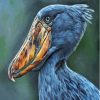 Shoebill Side View Art Paint By Numbers