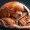 Sleepy Puppy Paint By Numbers