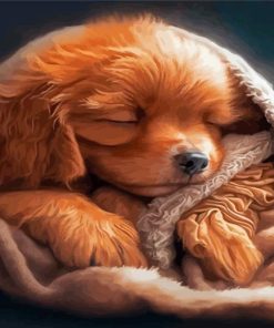 Sleepy Puppy Paint By Numbers