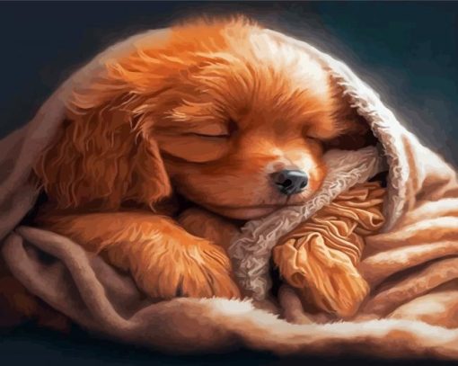 Sleepy Puppy Paint By Numbers