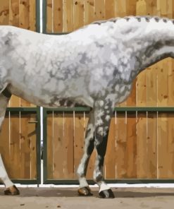 Sport Horse Paint By Numbers