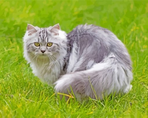 Tabby Persian Cat On Grass Paint By Numbers