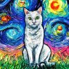 White Cat Starry Night Paint By Numbers