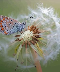 White Dandelion Butterflies Paint By Numbers