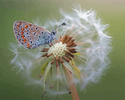 White Dandelion Butterflies Paint By Numbers