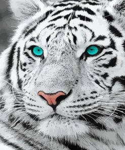 White Tiger Blue Eyes Paint By Numbers