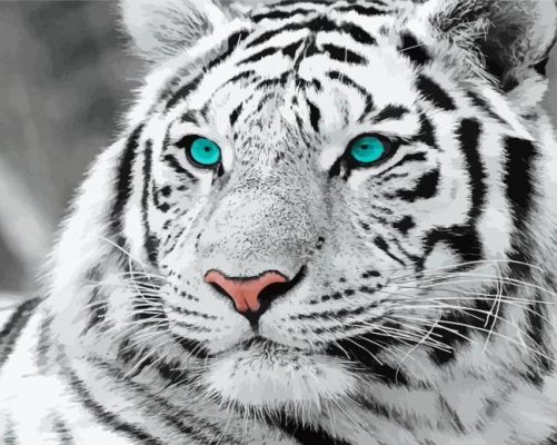 White Tiger Blue Eyes Paint By Numbers