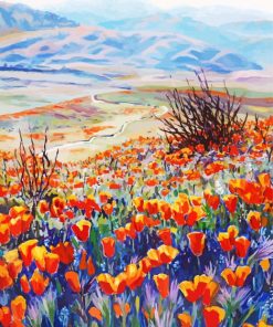 Aesthetic Desert Poppies Paint By Numbers