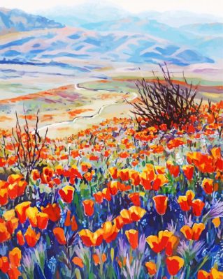 Aesthetic Desert Poppies Paint By Numbers