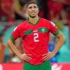 Ashraf Hakimi Moroccan Footballer Paint By Numbers