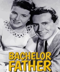 Bachelor Father Poster Paint By Numbers