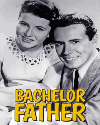 Bachelor Father Poster Paint By Numbers