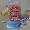 Birds At Bird Feeder Paint By Numbers