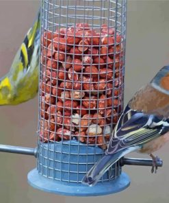 Birds At Bird Feeder Paint By Numbers