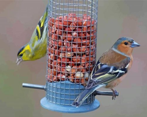 Birds At Bird Feeder Paint By Numbers