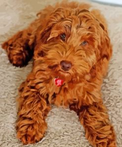 Brown Cockapoo Paint By Numbers