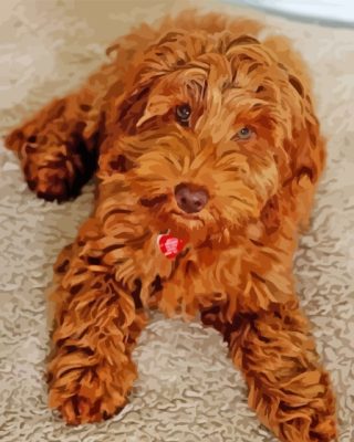 Brown Cockapoo Paint By Numbers