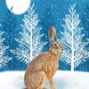 Christmas Hare Paint By Numbers