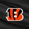 Cincinnati Bengals Paint By Numbers