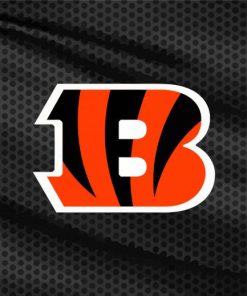 Cincinnati Bengals Paint By Numbers