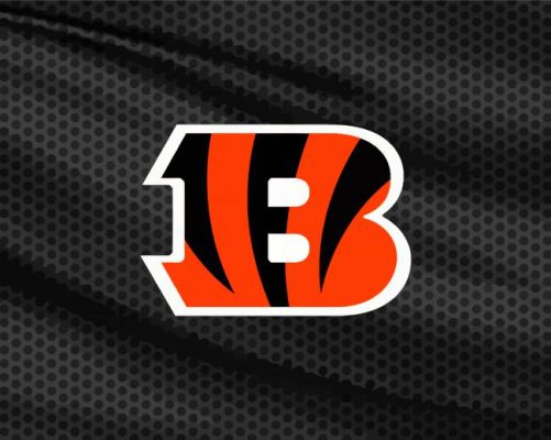 Cincinnati Bengals Paint By Numbers