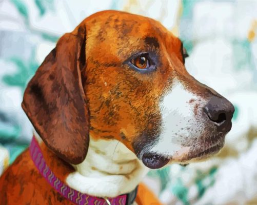 Close Up Plott Hound Head Paint By Numbers