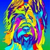 Colorful Briard Dog Paint By Numbers