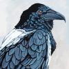 Common Raven Paint By Numbers