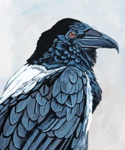 Common Raven Paint By Numbers