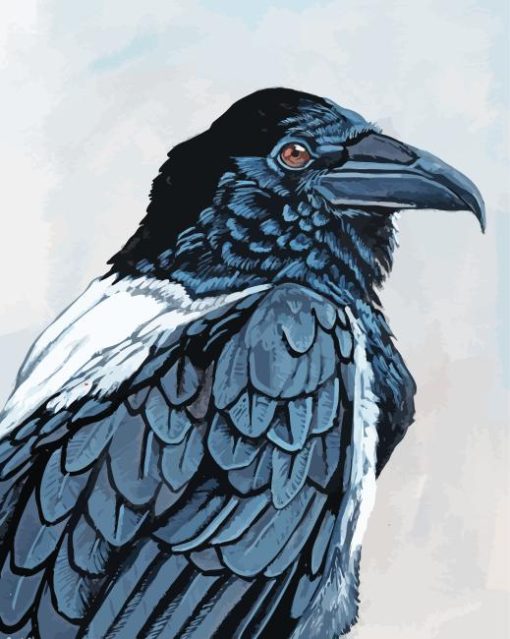 Common Raven Paint By Numbers