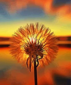 Dandelions At Sunset Paint By Numbers