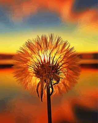 Dandelions At Sunset Paint By Numbers