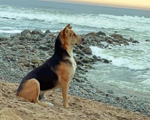 Dog In The Beach Paint By Numbers