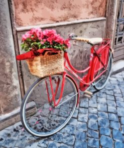 Flowers On Bicycle Paint By Numbers