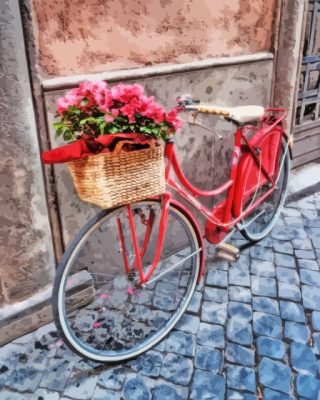 Flowers On Bicycle Paint By Numbers