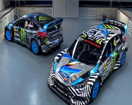 Ford RS Racing Cars Paint By Numbers