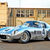 Grey Cobra Le Mans Classic Car Paint By Numbers