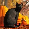 Halloween Cat Paint By Numbers