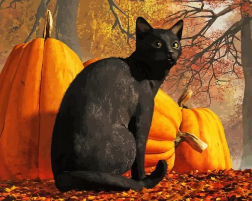 Halloween Cat Paint By Numbers