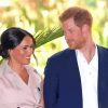 Harry And Meghan Paint By Numbers