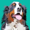 Illustration Bernese Mountain Dog Paint By Numbers