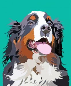 Illustration Bernese Mountain Dog Paint By Numbers