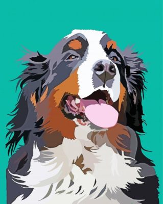 Illustration Bernese Mountain Dog Paint By Numbers