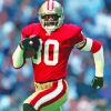 Jerry Rice Paint By Numbers