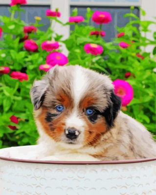 Mini Aussie Puppy Paint By Numbers