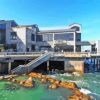 Monterey Bay Aquarium California USA Paint By Numbers