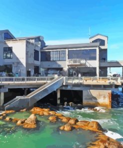 Monterey Bay Aquarium California USA Paint By Numbers