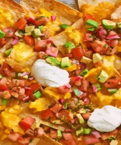 Nachos Mexican Dish Paint By Numbers